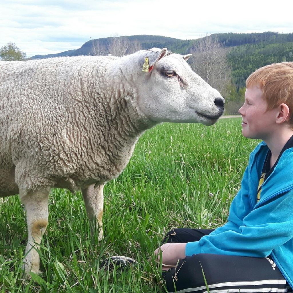 Arvid och Texelbaggen Måns